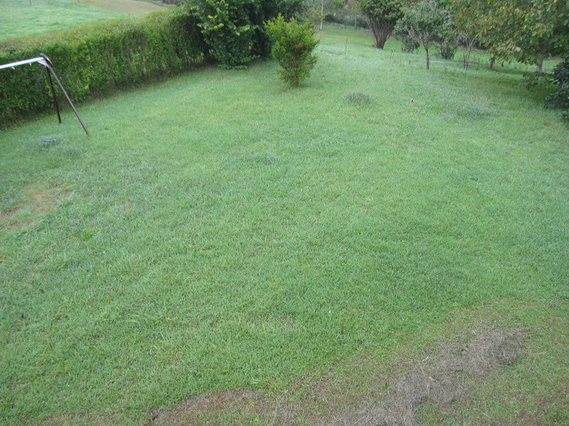 Individual Chalet of 210 sq.